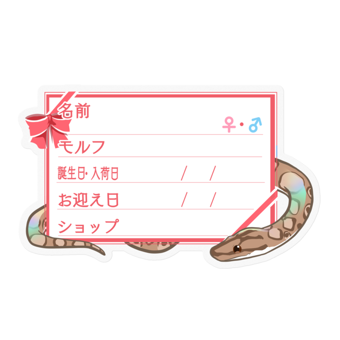 【🐍お名前ステッカー】コロニジ(ノーマル) ‐リボン／ピンク