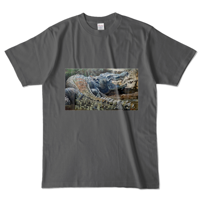 カラーTシャツ - L - チャコール (濃色)