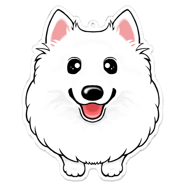 アクリルキーホルダー - 100 x 100 (mm)