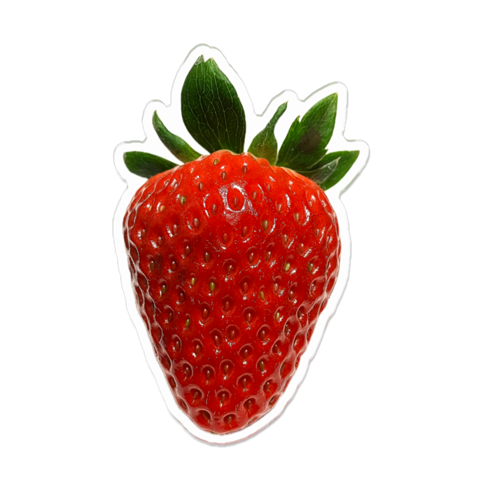 アクリルバッジ - 100 x 100 (mm)