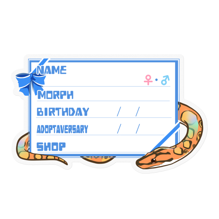 【🐍お名前ステッカー】ブラニジ(ノーマル) ‐リボン／ブルー(英語)