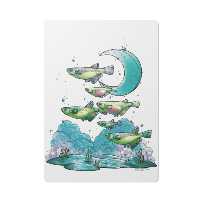 めだか砂漠　B5