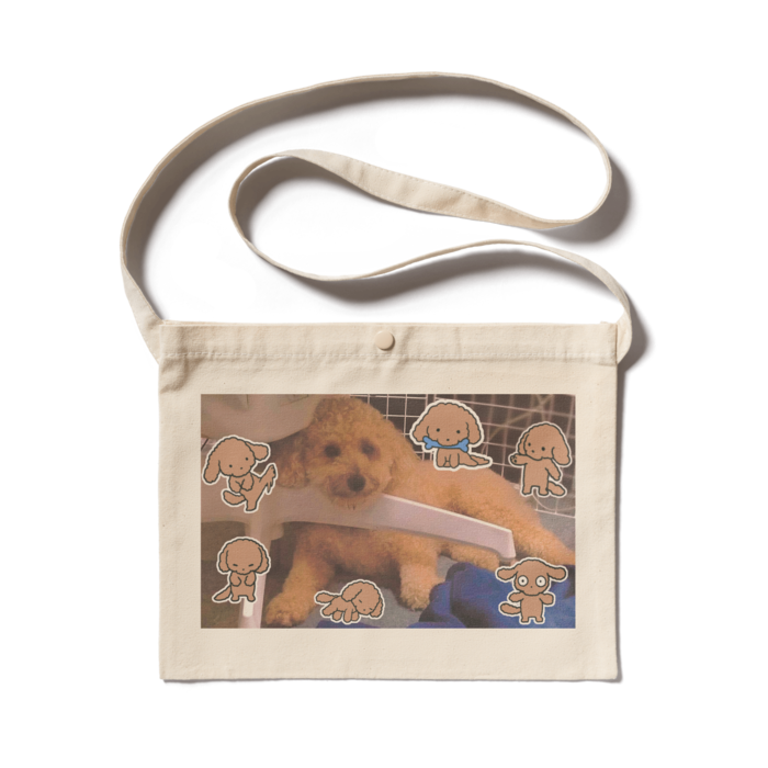 サコッシュ - 300 x 230 (mm)