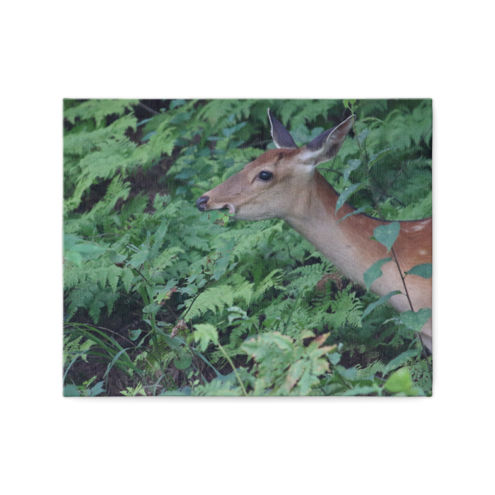 キャンバス - F3