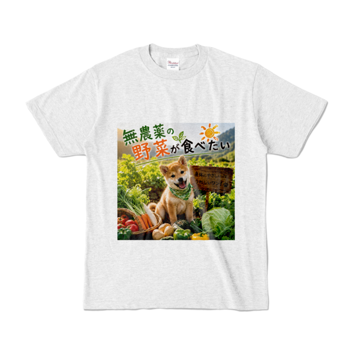 カラーTシャツ - S - アッシュ （淡色）