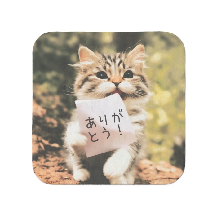 タオル - 小(1)