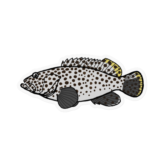 ステッカー - 100 x 100 (mm)