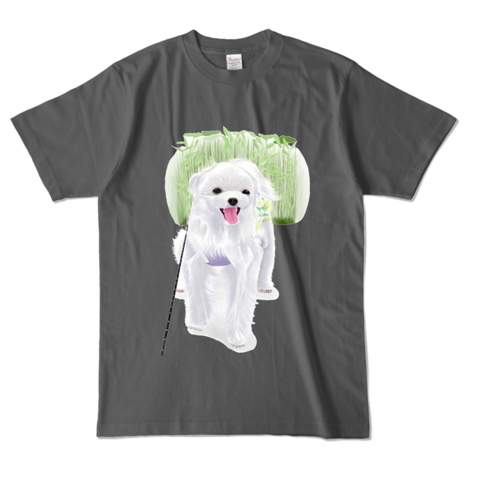 カラーTシャツ - L - チャコール (濃色)