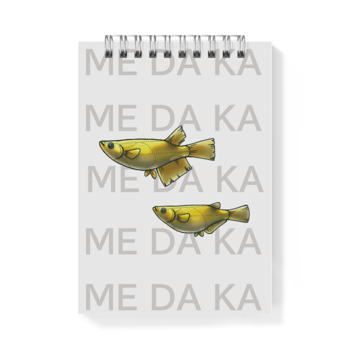 ヒカリ　ー　A6