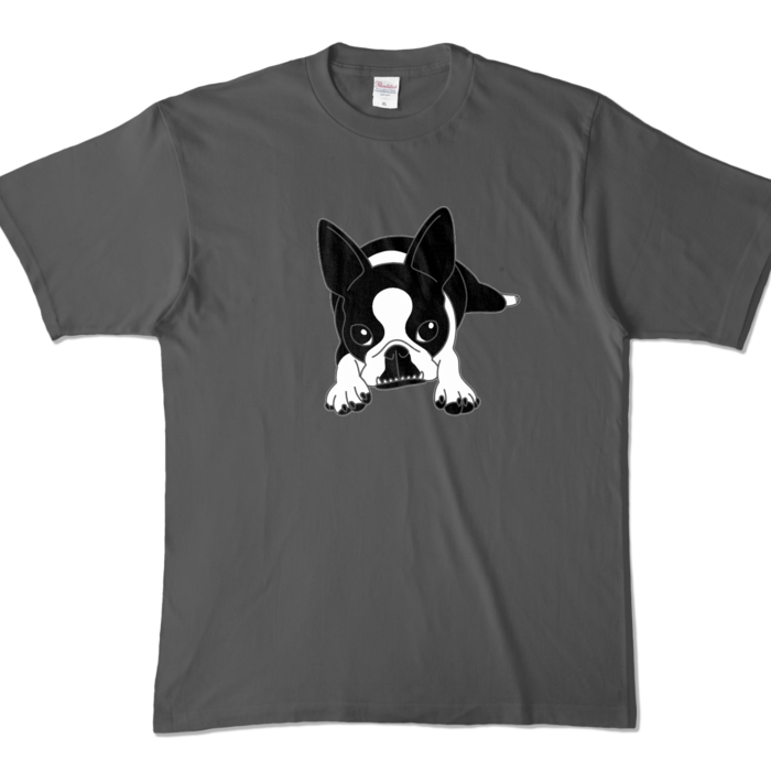 カラーTシャツ - XL - チャコール (濃色)