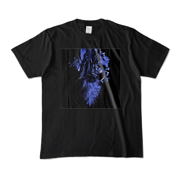 カラーTシャツ - M - ブラック (濃色)