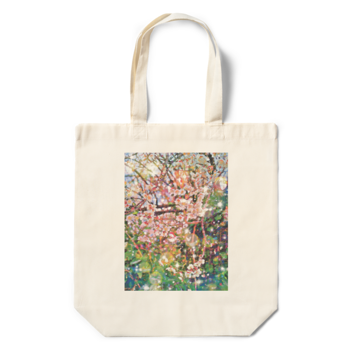 エコバッグ - 360 × 370 × 110 (mm)