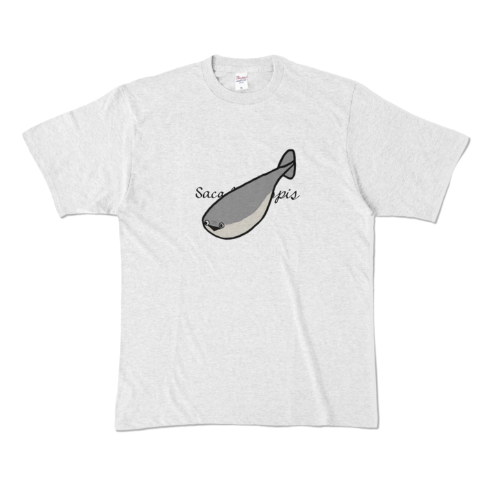 カラーTシャツ - XL - アッシュ (淡色)