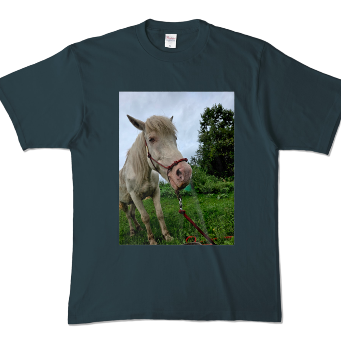 カラーTシャツ - XL - デニム (濃色)