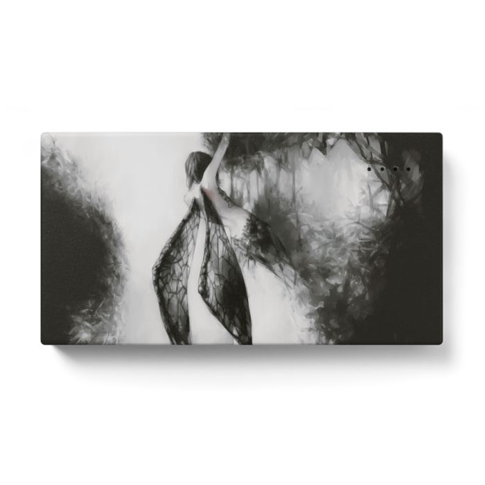 モバイルバッテリー - 123 x 65 (mm)(1)