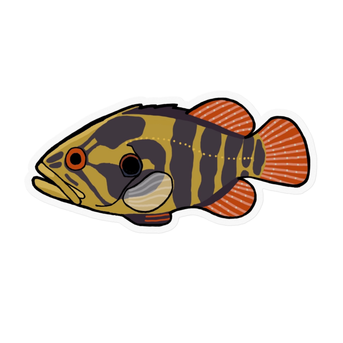 オヤニラミ ステッカー アクアショップよづる Booth