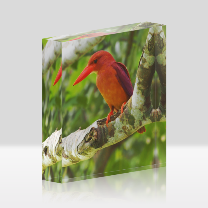 アクリルブロック - 100x100mm