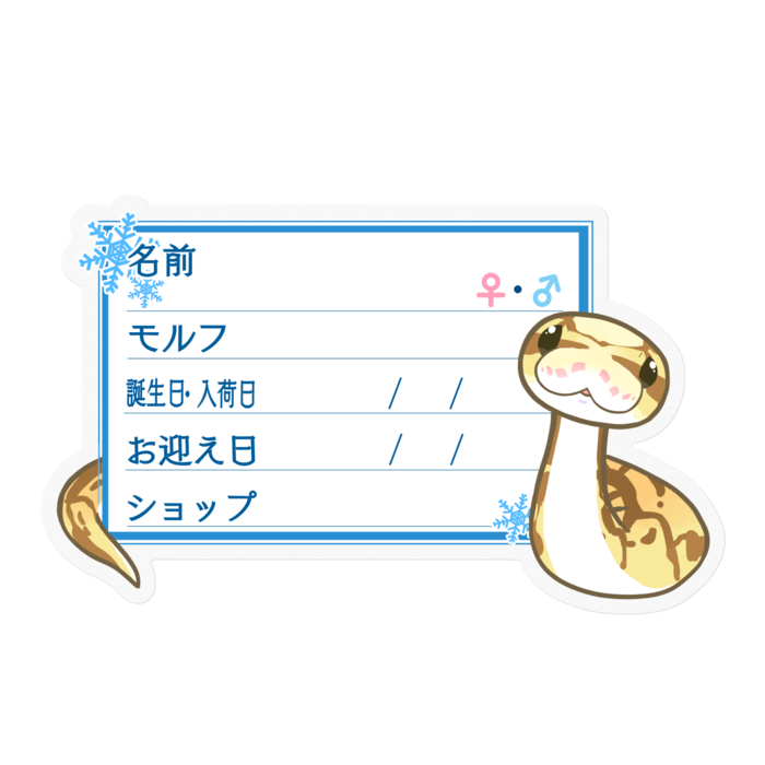 【🐍お名前ステッカー】ボールパイソン(クイーンビーミニ)  ‐雪