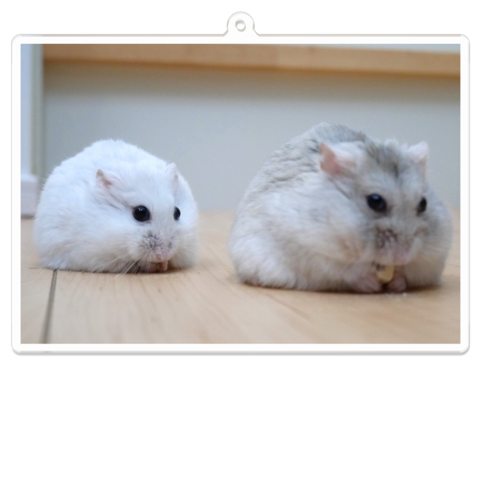 アクリルキーホルダー - 100 x 100 (mm)