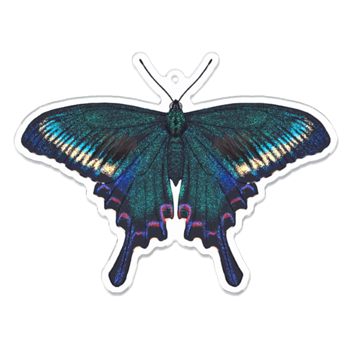 アクリルキーホルダー - 100 x 100 (mm)