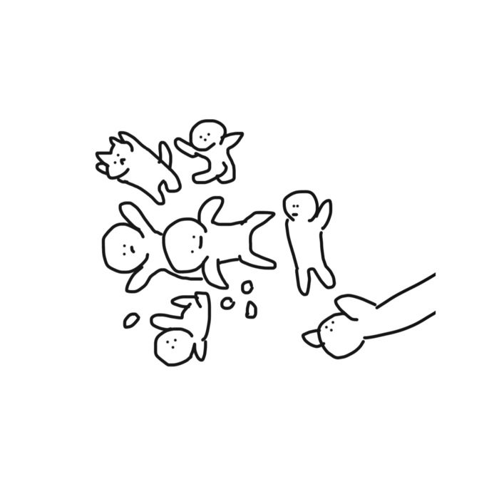 ICカードステッカー - 約85.7x53.9(mm)