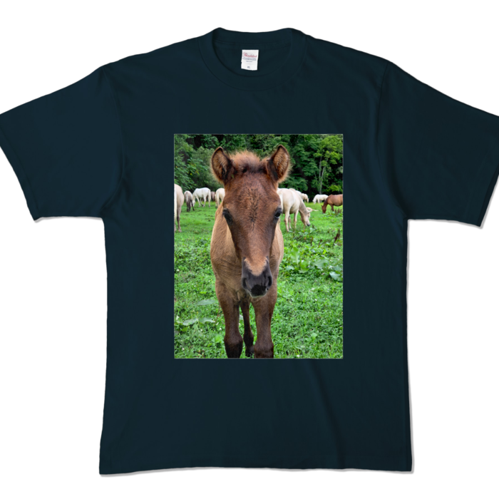 カラーTシャツ - XL - ネイビー (濃色)