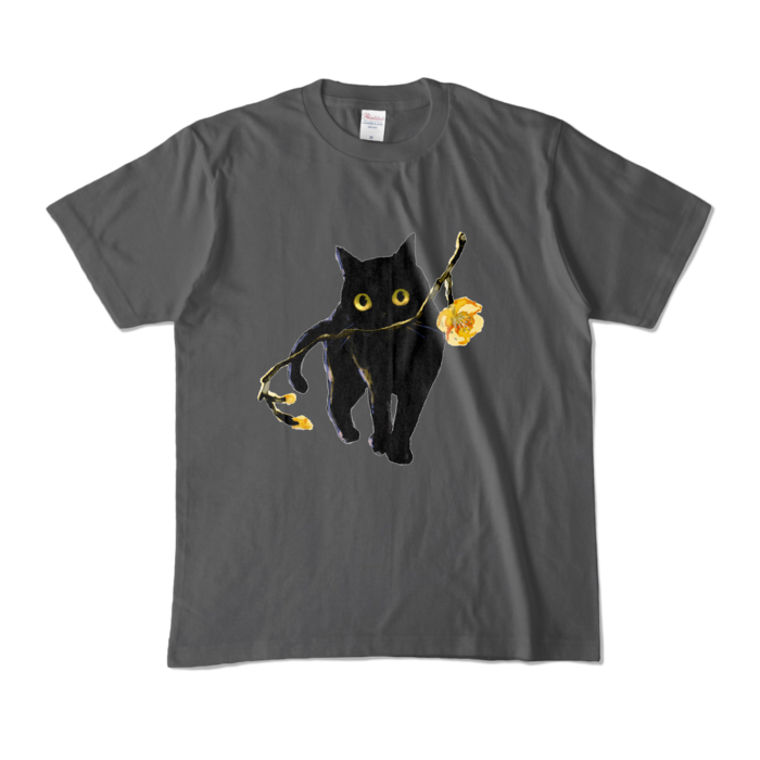 カラーTシャツ - M - チャコール (濃色)