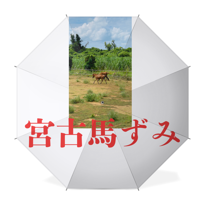 宮古馬ずみ カッコイイ 傘 レッドドラゴン Booth 宮古馬ずみ カッコイイ 傘 レッドドラゴン Booth