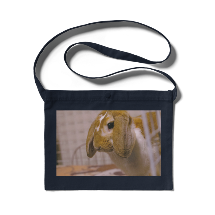 サコッシュ - 300 x 230 (mm)(3)