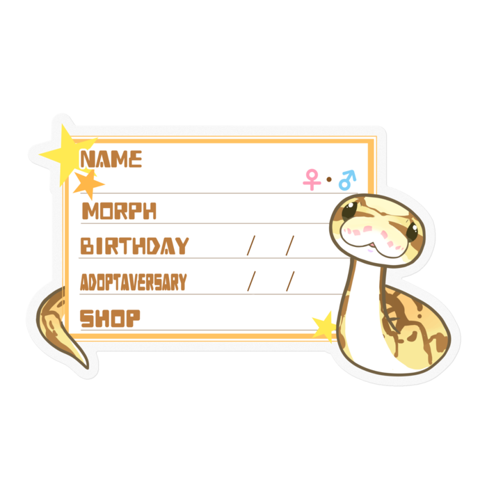 【🐍お名前ステッカー】ボールパイソン(クイーンビーミニ) ‐星(英語)