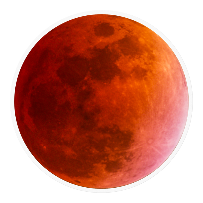 ステッカー - 100 x 100 (mm)