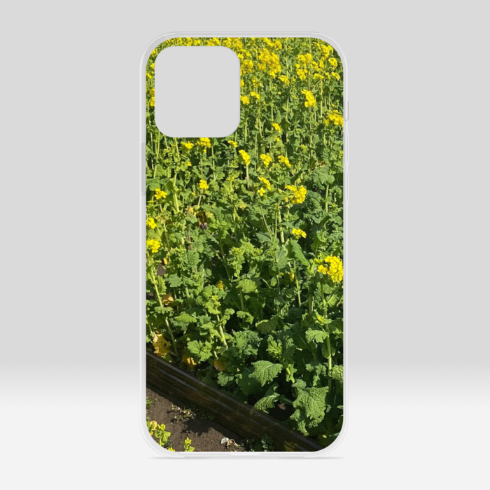 クリアiPhoneケース - iPhone12 / 12 Pro