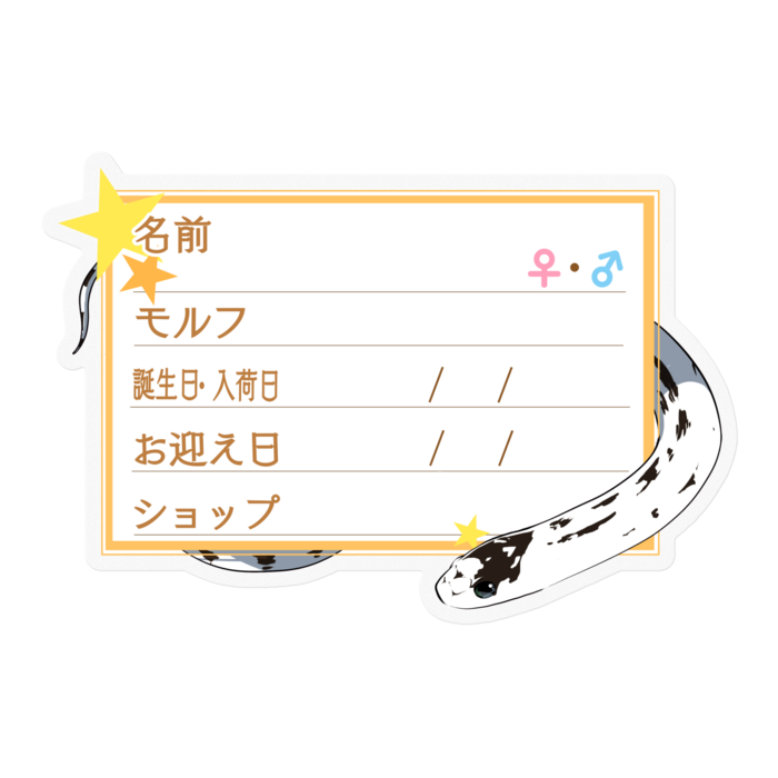 【🐍お名前ステッカー】カリキン(ハイホワイト) ‐星