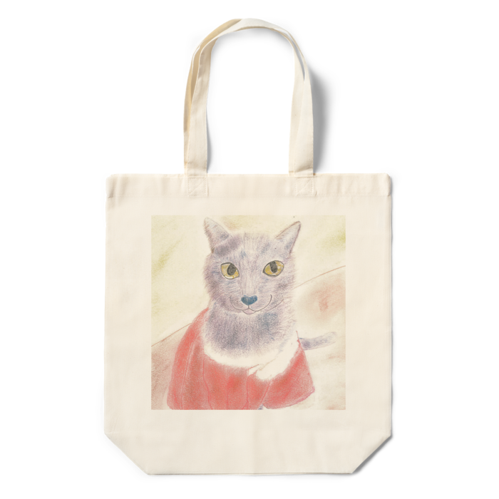 エコバッグ - 360×370×110(mm)