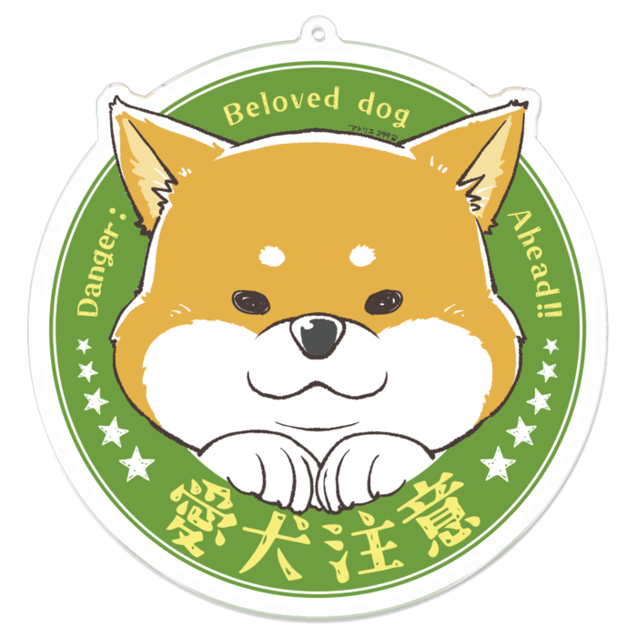 L（約100 x 100 mm）