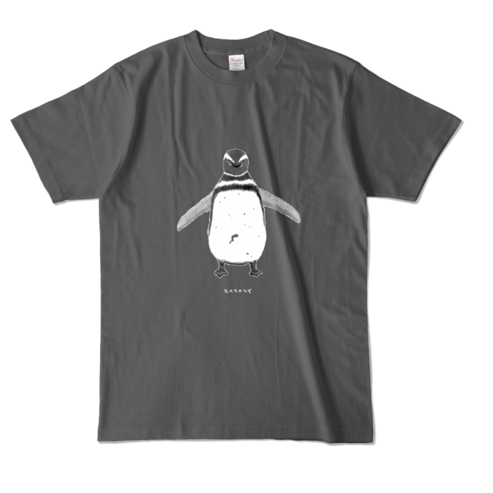 カラーTシャツ - L - チャコール (濃色)