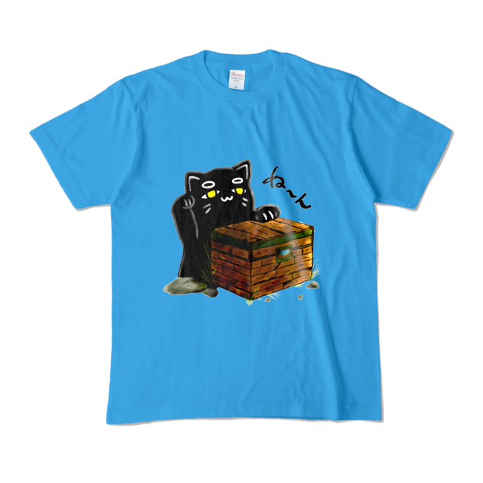 カラーTシャツ - M - ターコイズ (濃色)