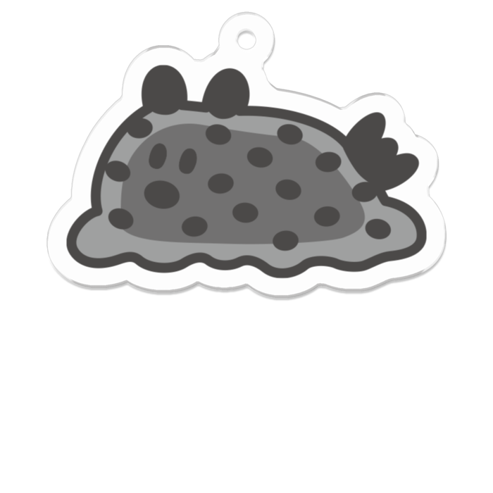 ウスズミウミウシ