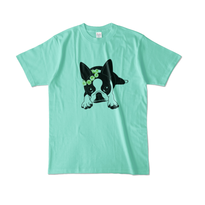カラーTシャツ - L - アイスグリーン (淡色)