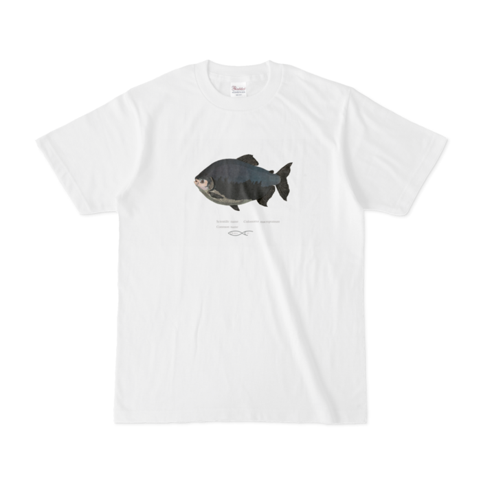 Tシャツ - S - 白