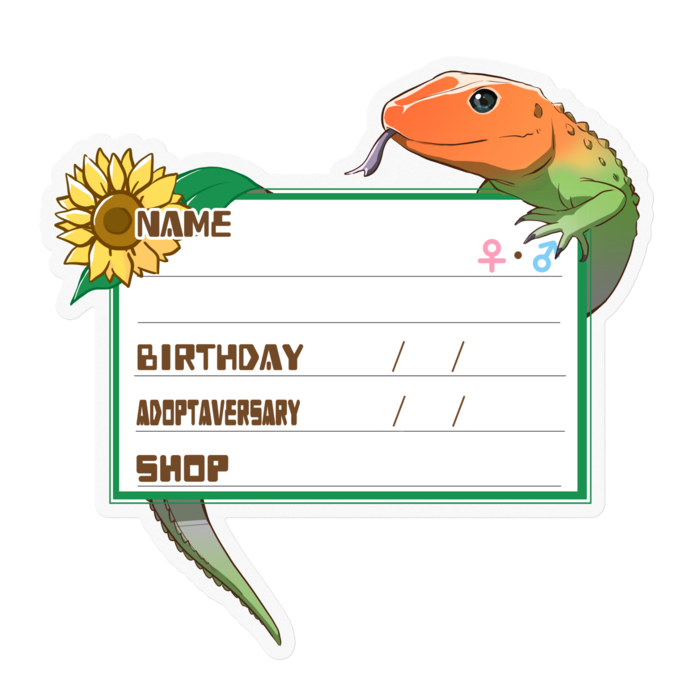 【🦎お名前ステッカー】カイマントカゲ-ひまわり(英語)