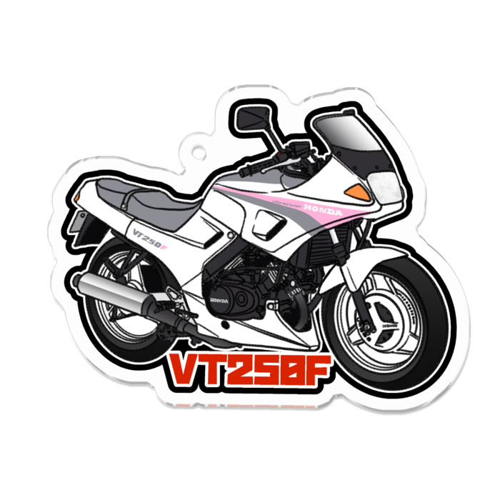 VT250F(3)