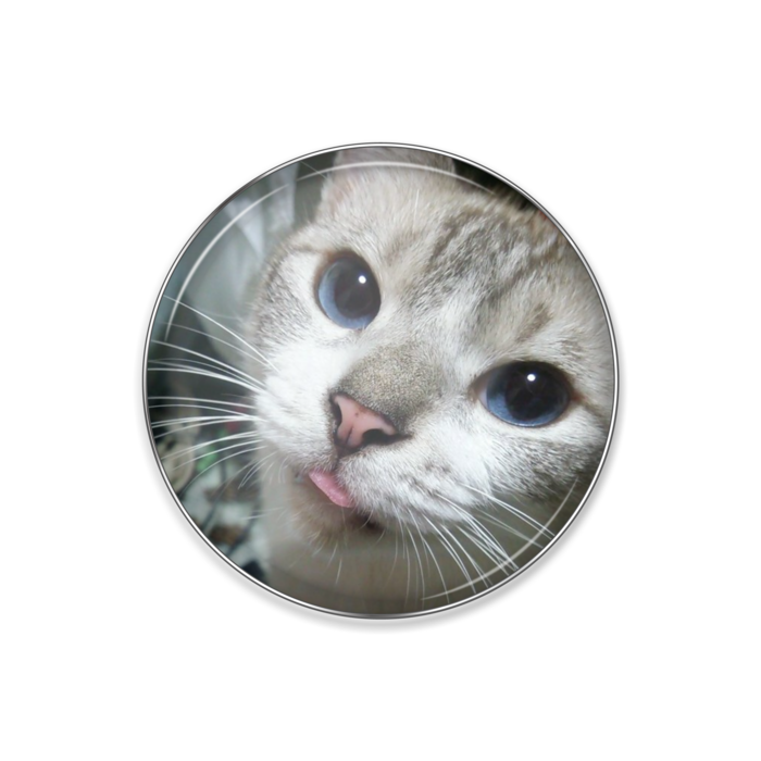 ピンバッジ - 丸形25mm