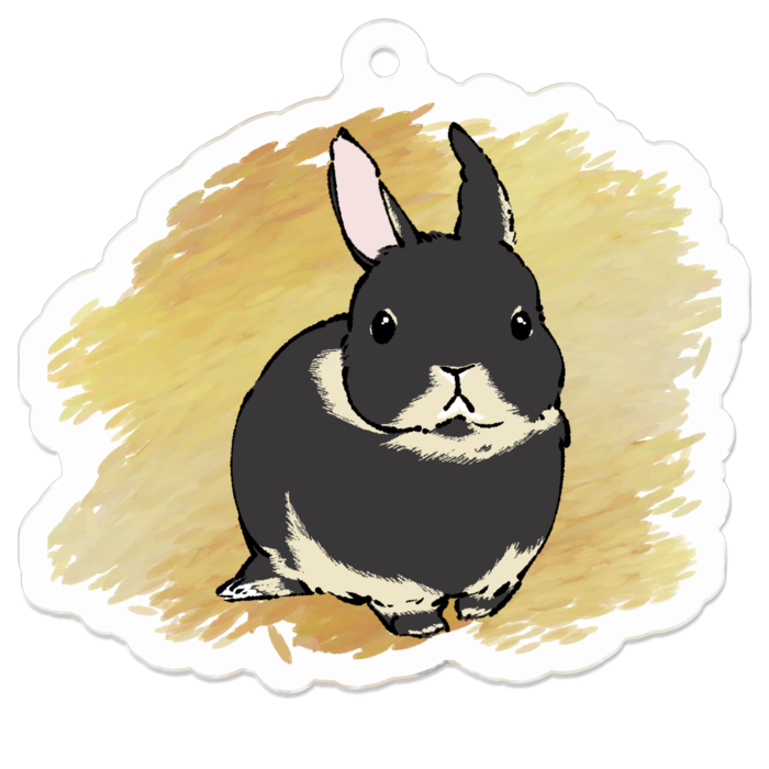 アクリルキーホルダー（コーティング） - 50 x 50 (mm)