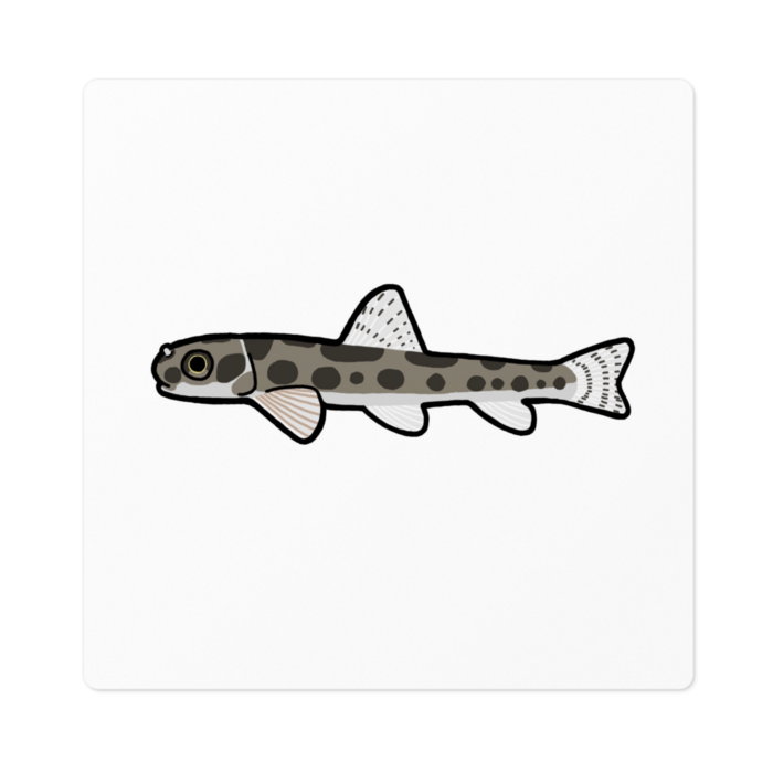 ステッカー - 100 x 100 (mm)(1)