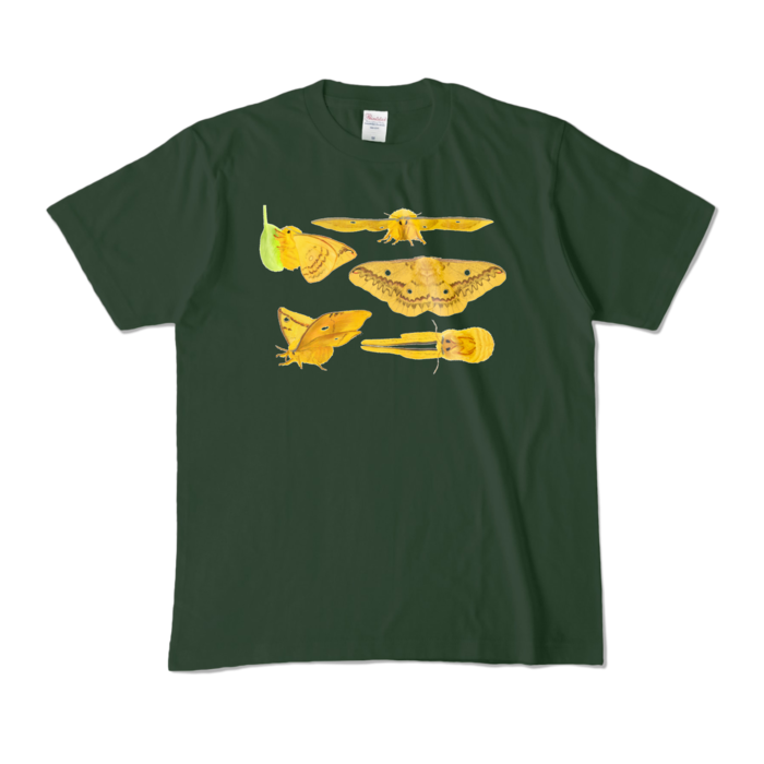 カラーTシャツ - M - フォレスト (濃色)