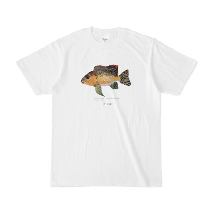 Tシャツ - S - 白