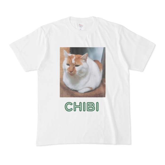Tシャツ - M - 白