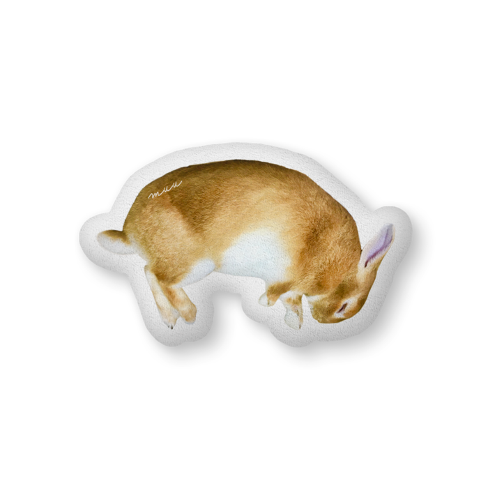 ふかふかクッション - 中（H36×W56cm） - 両面