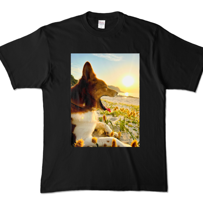 カラーTシャツ - XL - ブラック (濃色)